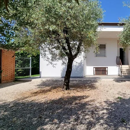 Degli Ulivi A 300 M Dal Mare